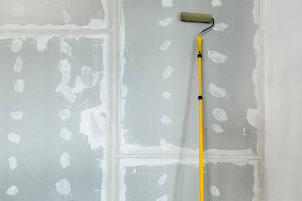 Best Water-Damaged Drywall Repair  in Marshall, TX